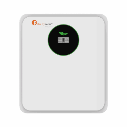 2.56kWh 24V Felicity Lithium Battery